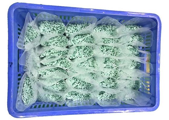 खरीदें पहुंच थोड़ा हरा 120 डिग्री 2.5 मिमी नायलॉन केबल संबंध online manufacture